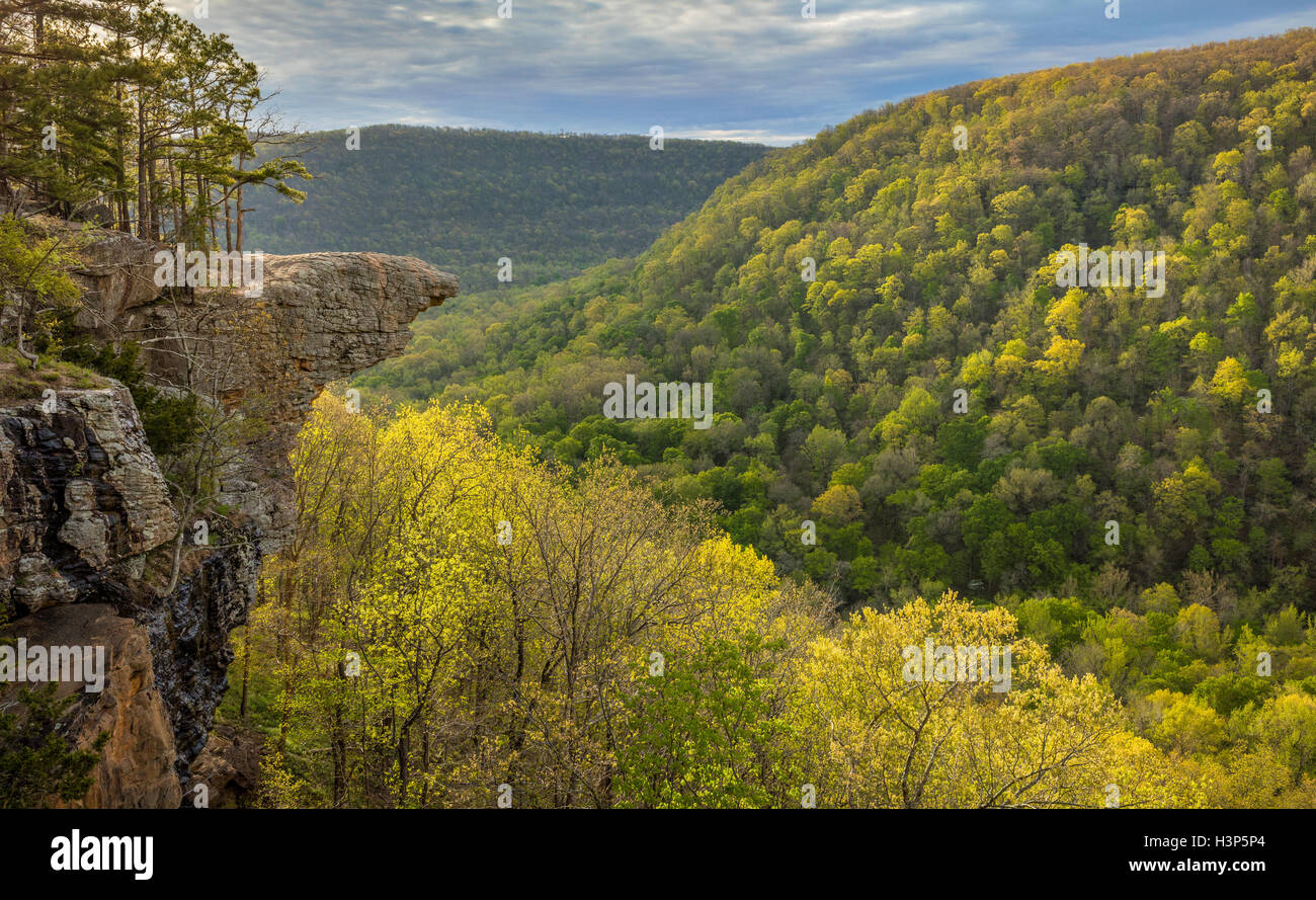 Ozark National Forest, AR: Hawksbill Crag in the Upper Buffalo Wilderness Area Stock Photo