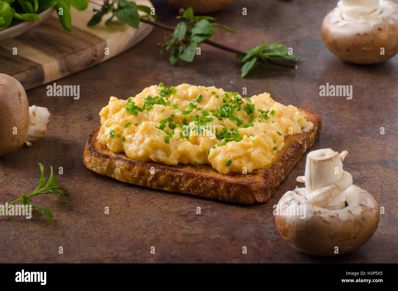 Scrambled eggs on slice bread hi-res stock photography and images - Alamy