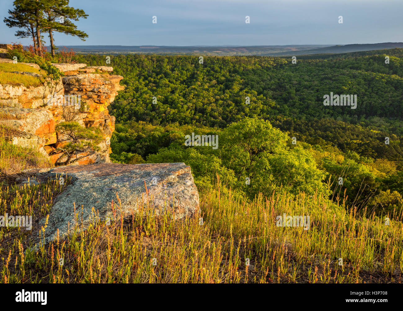 Petit Jean State Park, AR:  Sunset light on lichen covered sandstone cliffs from Cedar Creek Canyon Overlook on Red Bluff Drive Stock Photo