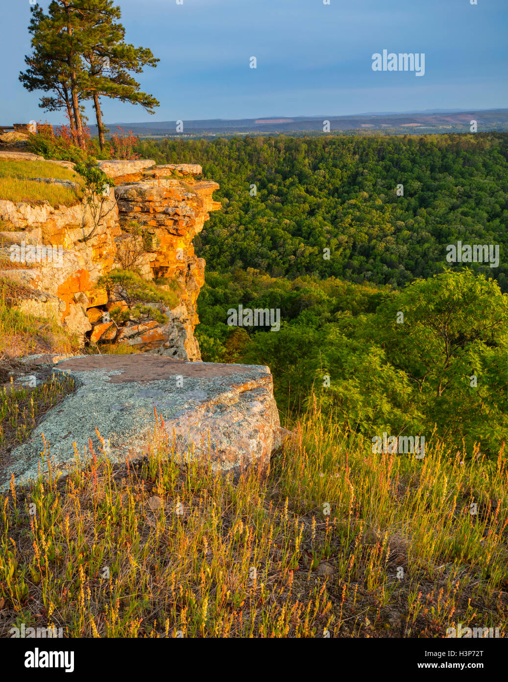 Petit Jean State Park, AR:  Sunset light on lichen covered sandstone cliffs from Cedar Creek Canyon Overlook on Red Bluff Drive Stock Photo