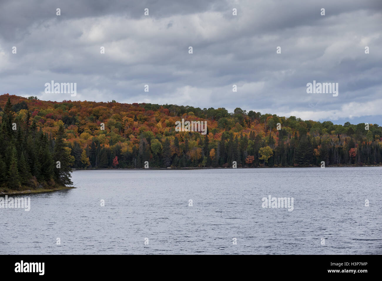 Algonquin Provincial Park in the fall season Stock Photo - Alamy Algonquin Provincial Park in the fall season Stock Photo - Alamy
