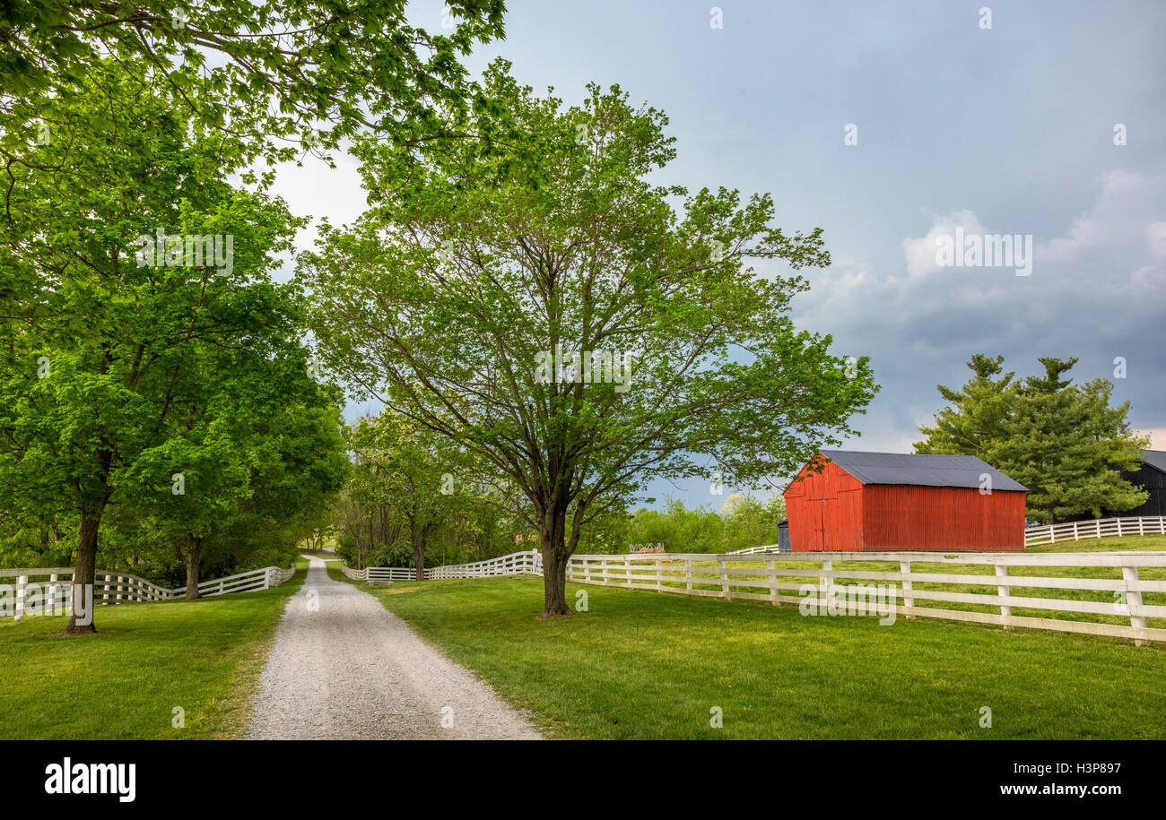 Harrodsburg, Kentucky: Tree lined lane in the Shaker Village of Pleasant Hill Stock Photo