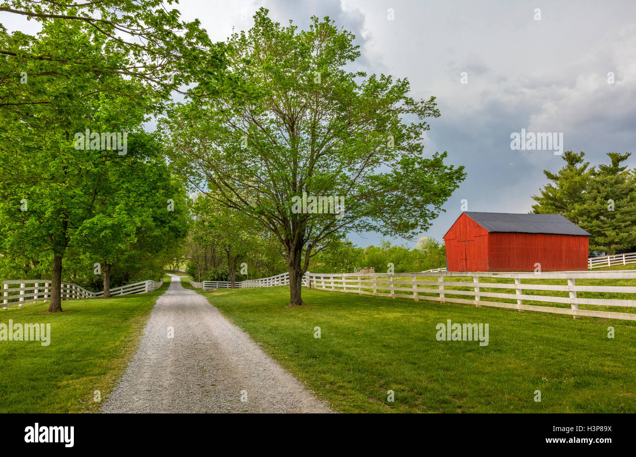 Harrodsburg, Kentucky: Tree lined lane in the Shaker Village of Pleasant Hill Stock Photo