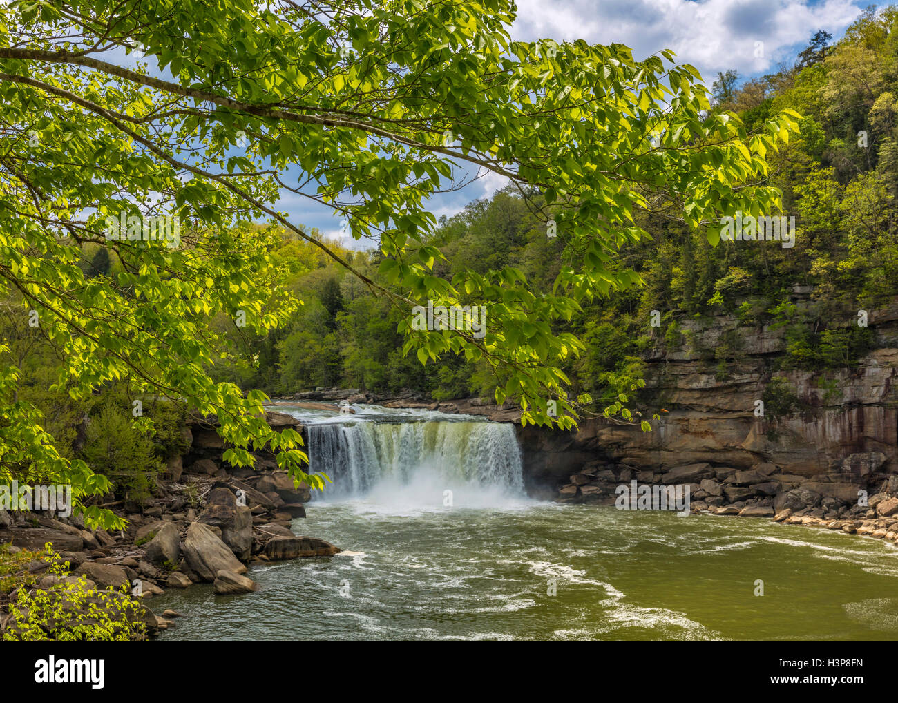 Cumberland Falls State Park, Kentucky: Tree branches frame the view of Cumberland Falls with the Cumberland River in spring Stock Photo