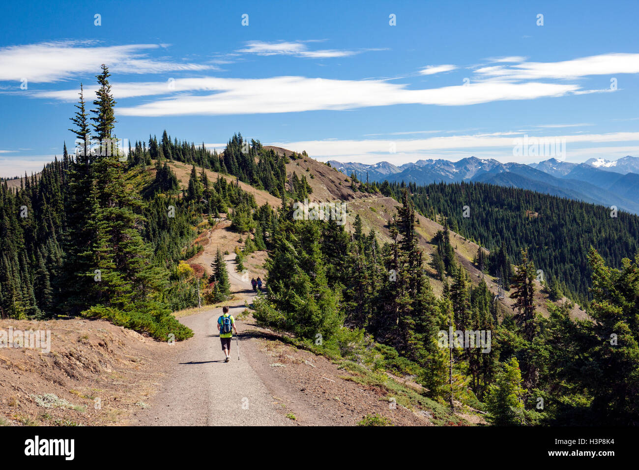 Hiker on Hurricane Ridge Trail - Olympic National Park, Washington Stock Photo