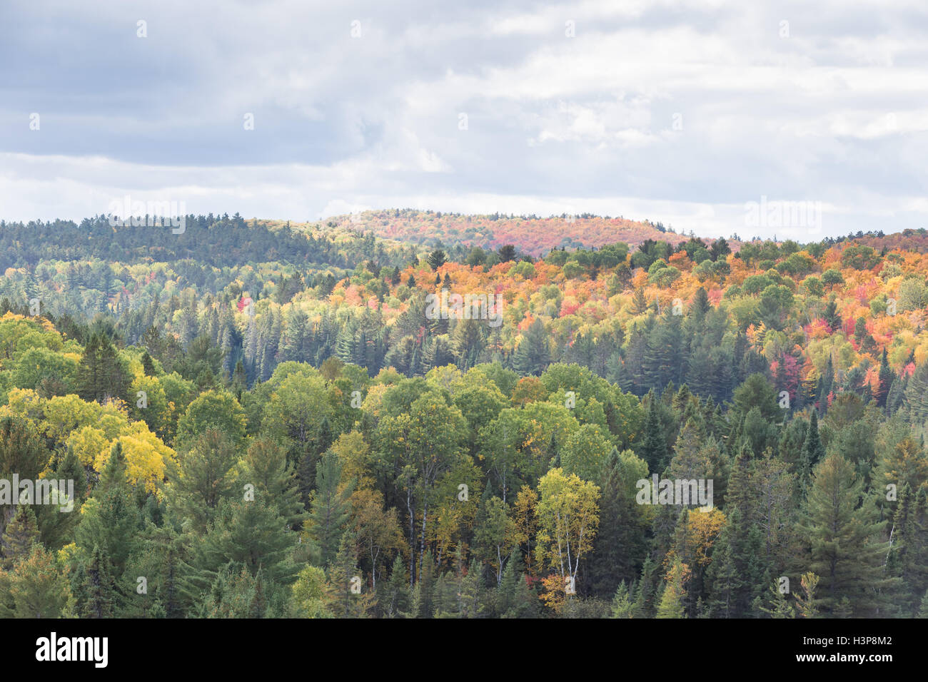 Algonquin Provincial Park in the fall season Stock Photo - Alamy