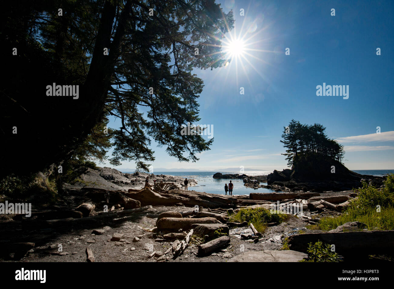 Botany Bay - Botanical Beach Provinical Park - Port Renfrew, Vancouver Island, British Columbia, Canada Stock Photo