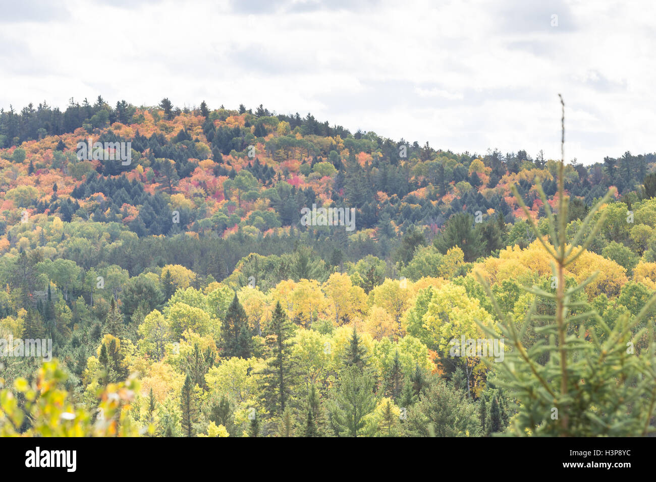 Algonquin Provincial Park in the fall season Stock Photo - Alamy