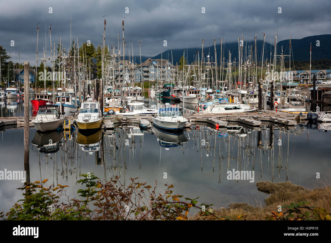 Ucluelet Harbour - Ucluelet, Vancouver Island, British Columbia, Canada Stock Photo