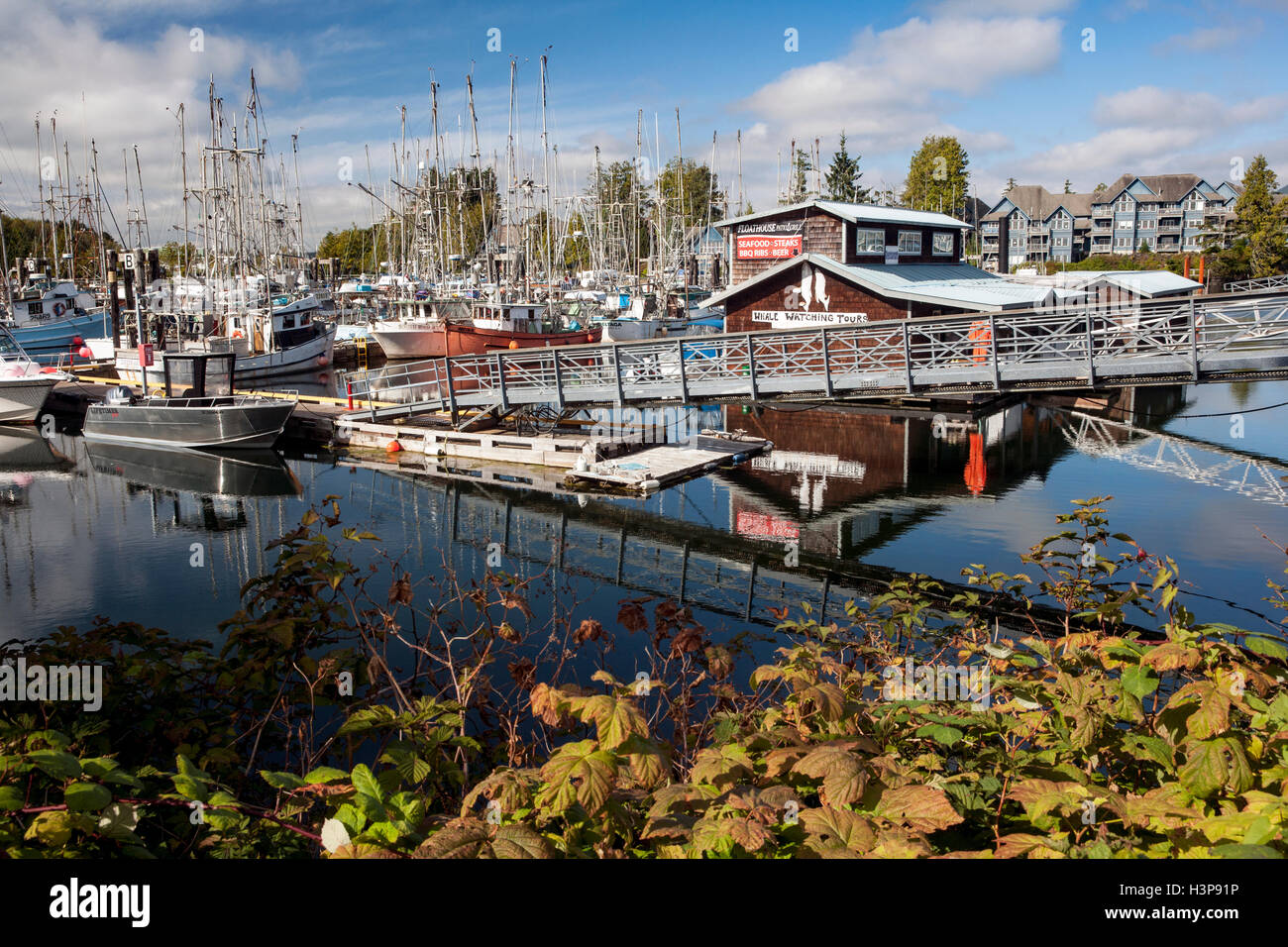 Ucluelet Harbour - Ucluelet, Vancouver Island, British Columbia, Canada Stock Photo