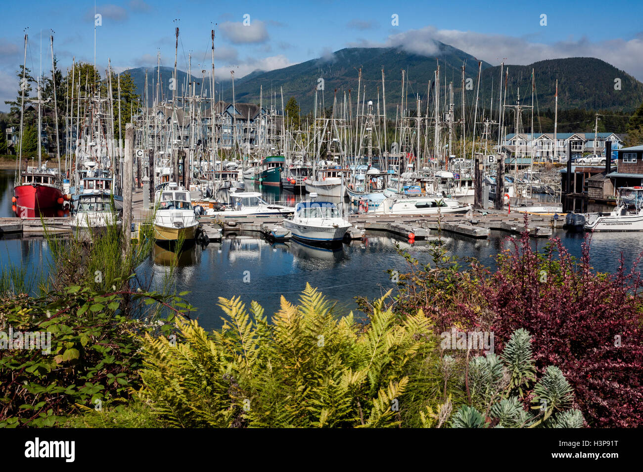 Ucluelet Harbour - Ucluelet, Vancouver Island, British Columbia, Canada Stock Photo