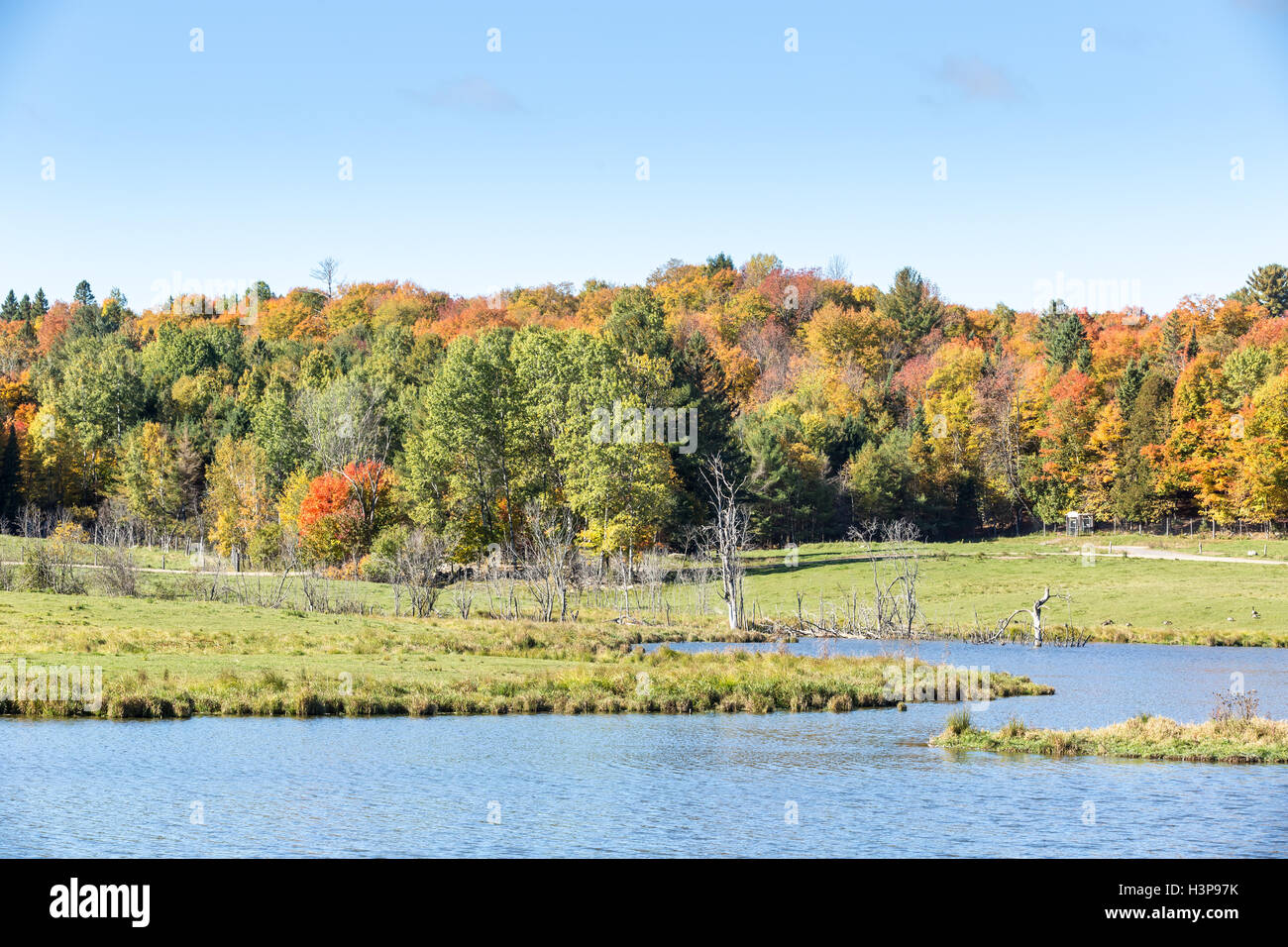 Algonquin Provincial Park in the fall season Stock Photo