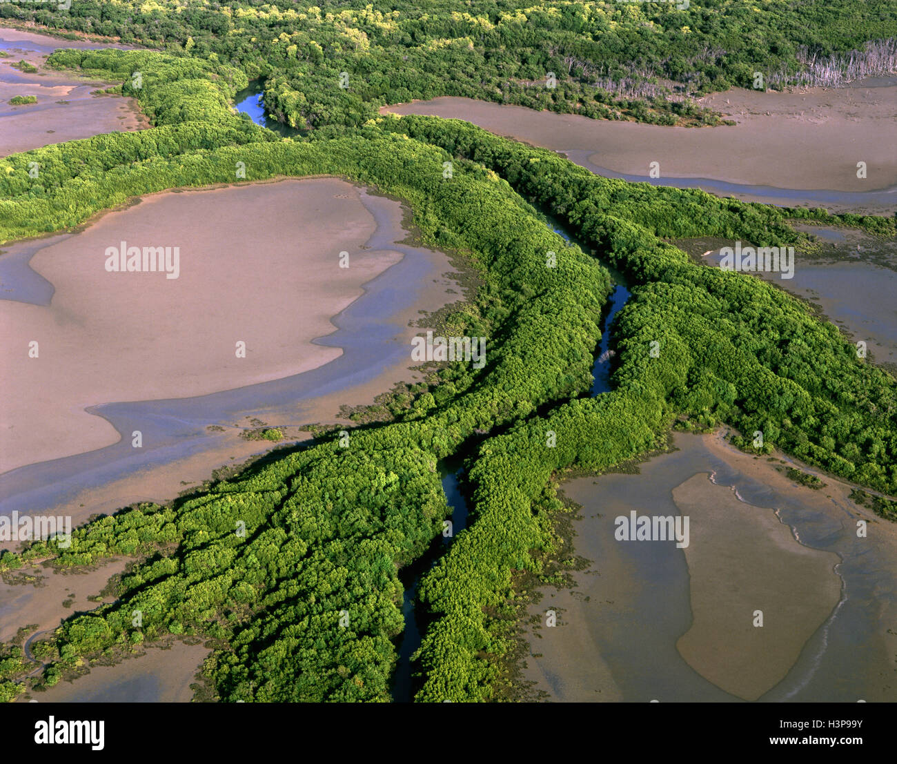 North Kennedy River, aerial, Stock Photo