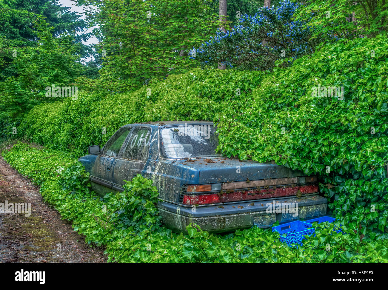 An old abandoned car in being overtaken by nature. High Dynamic Range image. Stock Photo