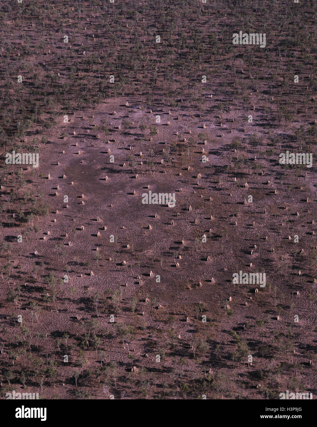 Termite mounds Stock Photo