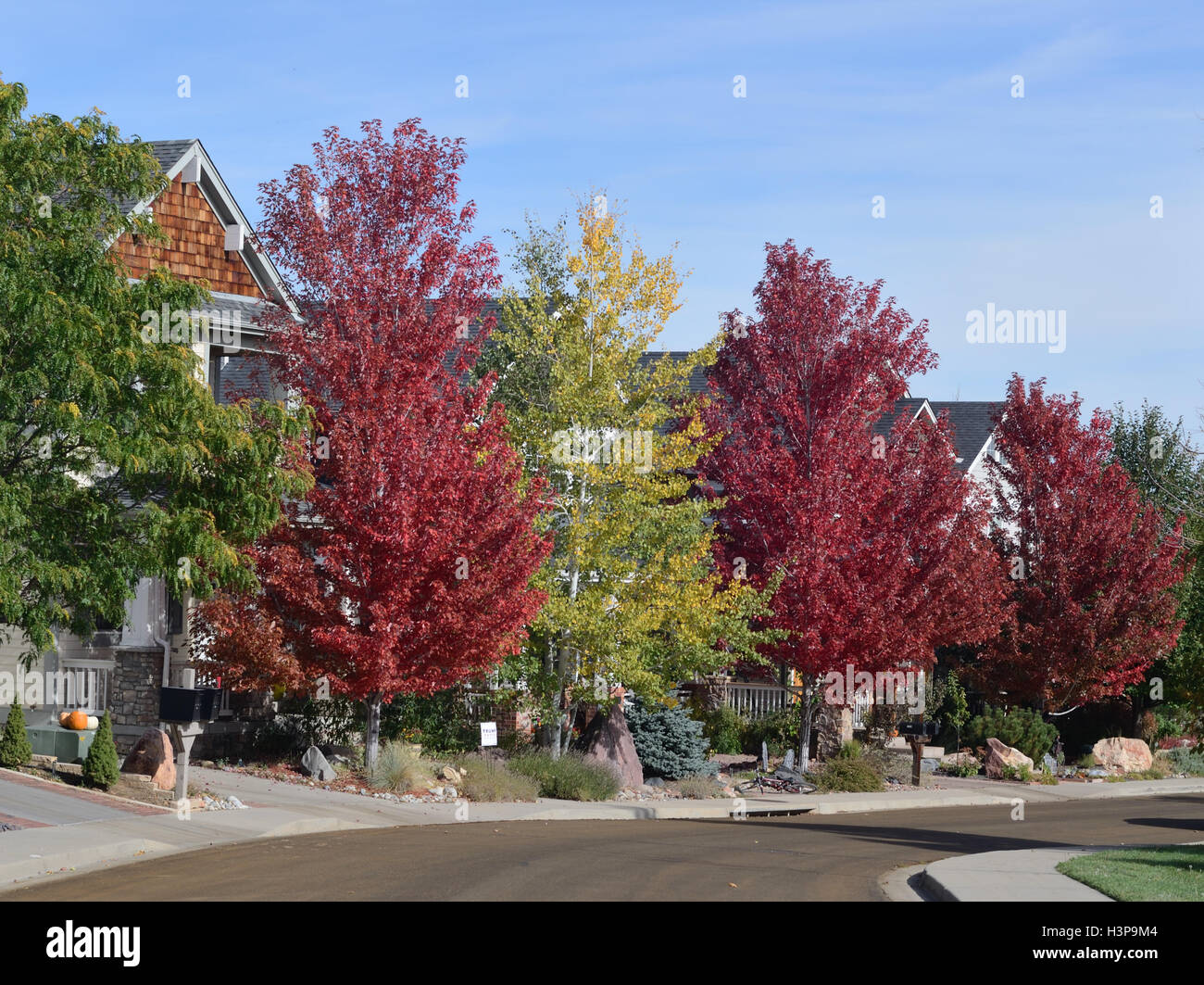 Fall colors in the Dakota Ridge neighborhood of Boulder, CO Stock Photo