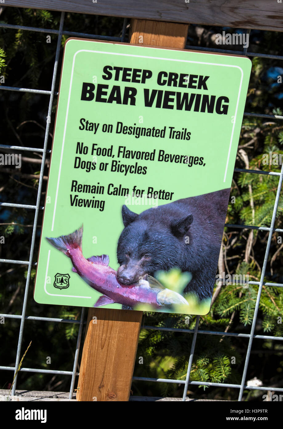 Steep Creek Bear Viewing Poster In Alaska Stock Photo Alamy