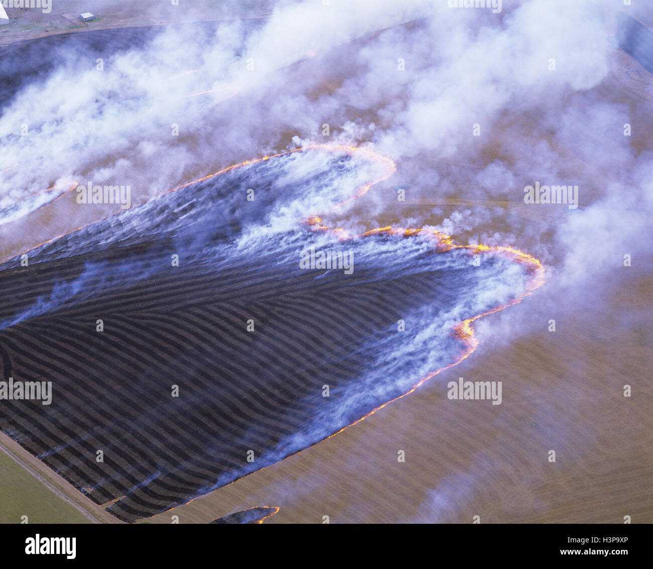 Farming practices: burning off stubble. Stock Photo