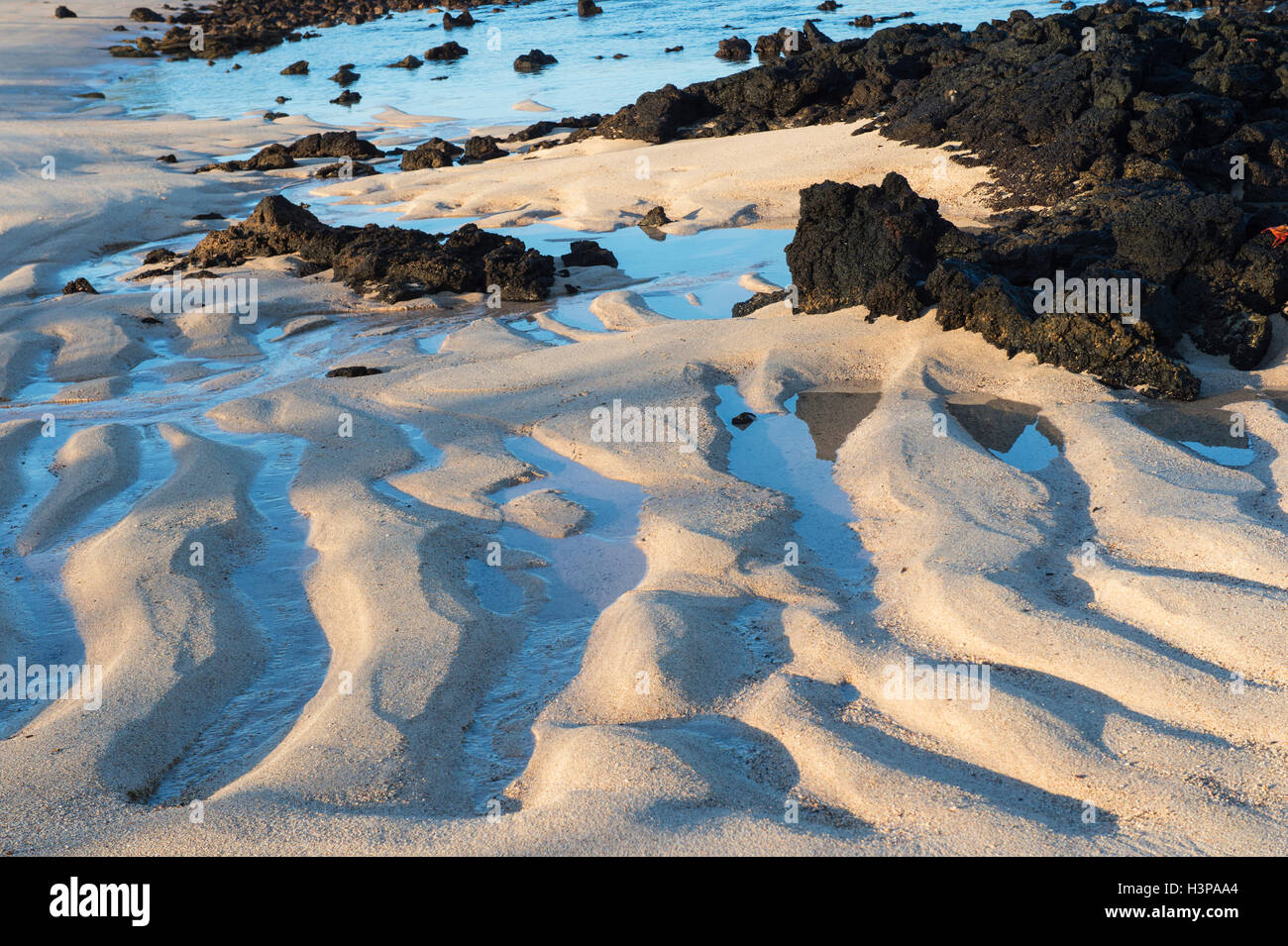 Dragon Hill, Santa Cruz Island, Galapagos, Ecuador, Unesco World