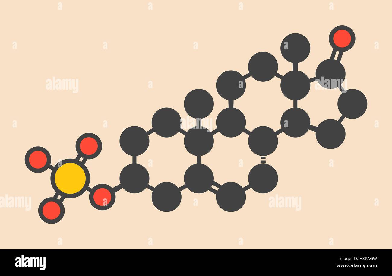 Dehydroepiandrosterone sulphate (DHEAS) natural hormone molecule