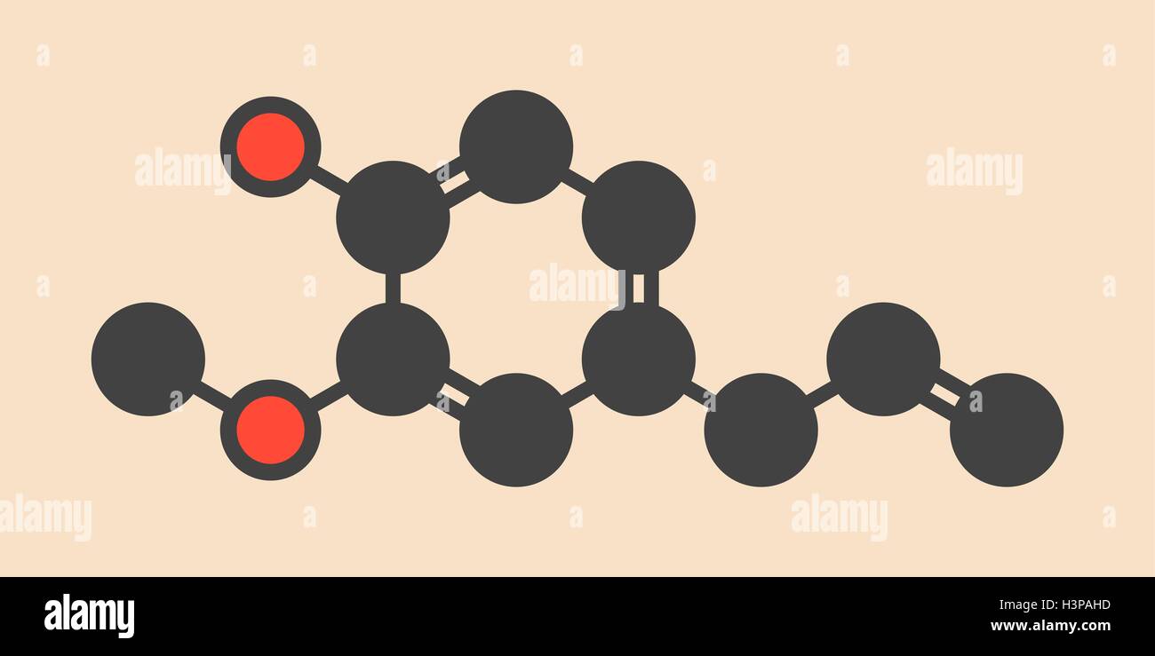 Eugenol herbal essential oil molecule. Present in cloves, nutmeg, etc. Stylized skeletal formula (chemical structure). Atoms are shown as color-coded circles: hydrogen (hidden), carbon (grey), oxygen (red). Stock Photo