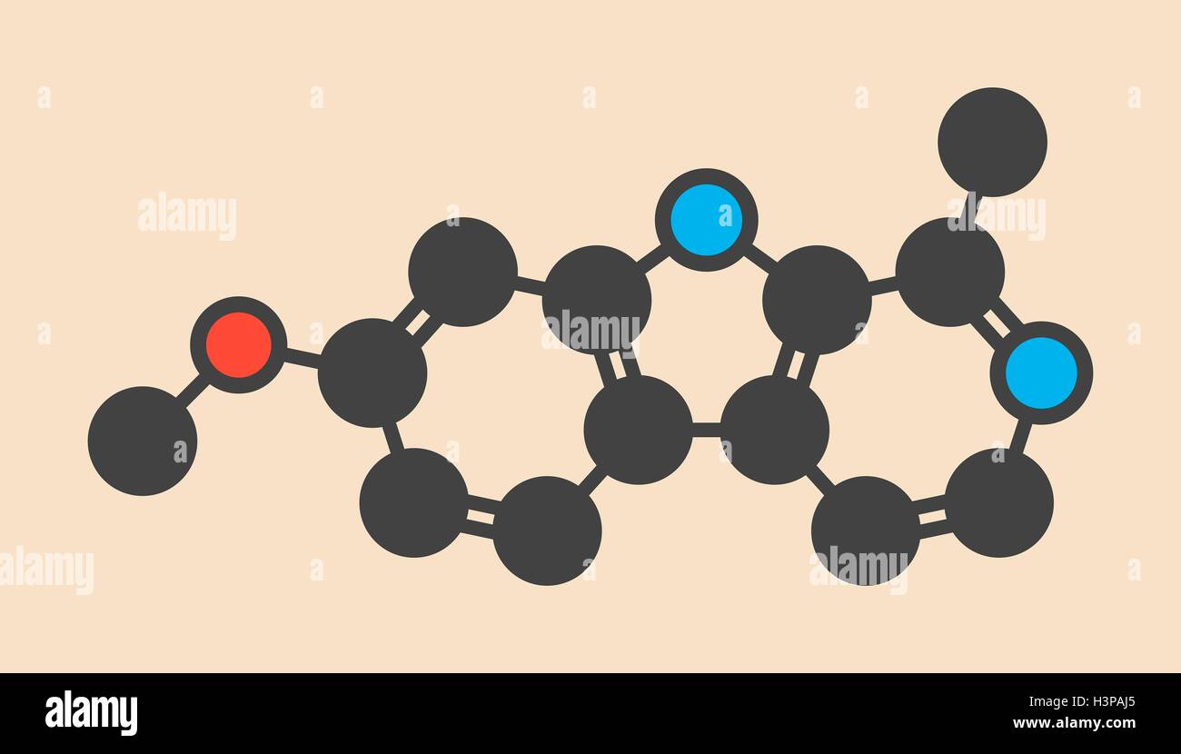 Harmine alkaloid molecule. Herbal inhibitor of monoamine oxidase A. (MAO-A). Stylized skeletal formula (chemical structure). Atoms are shown as color-coded circles: hydrogen (hidden), carbon (grey), oxygen (red), nitrogen (blue). Stock Photo