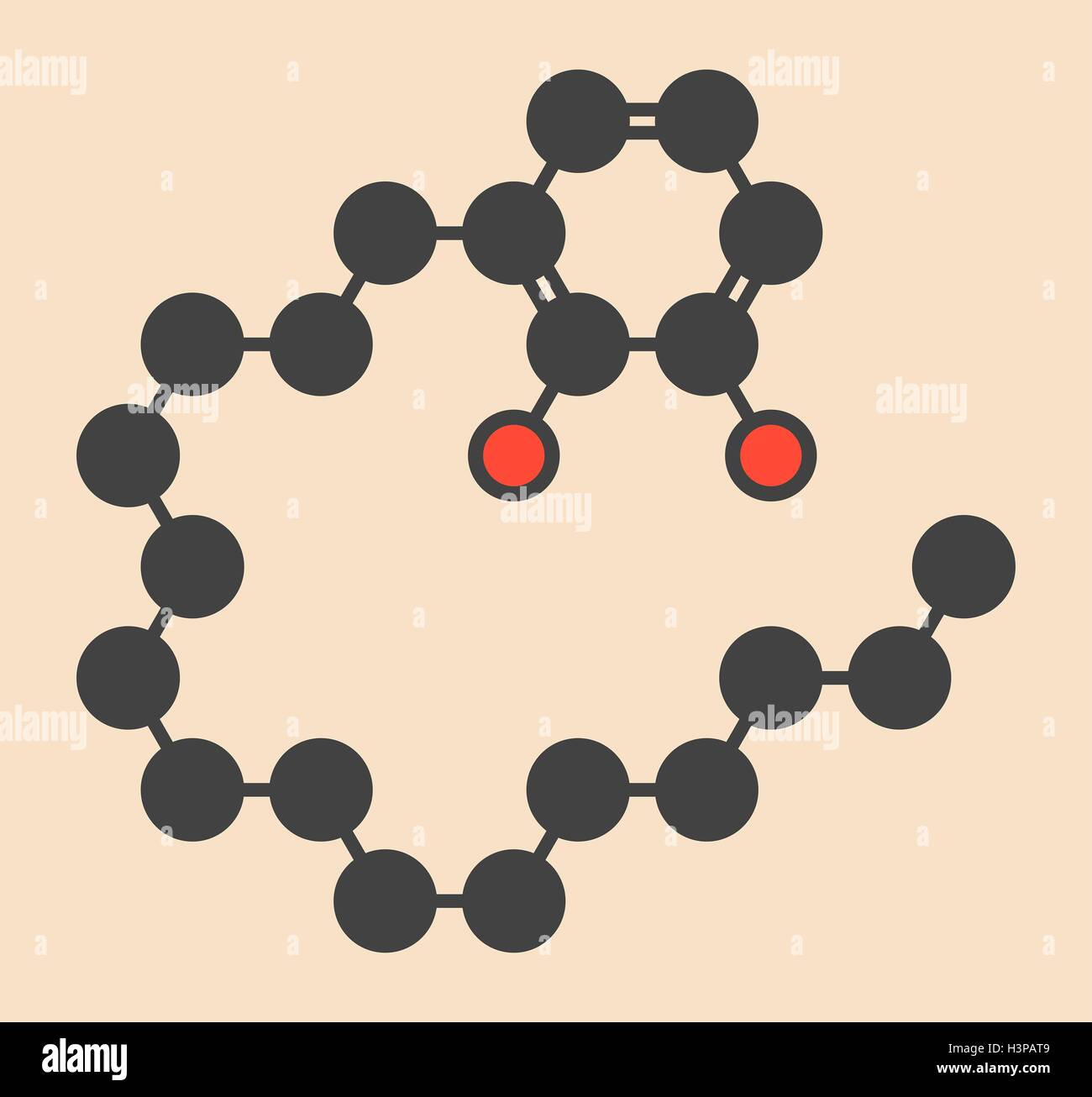 Poison sumac hi-res stock photography and images - Alamy