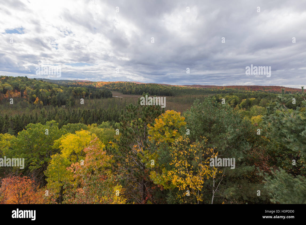 Algonquin Provincial Park in the fall season Stock Photo Alamy