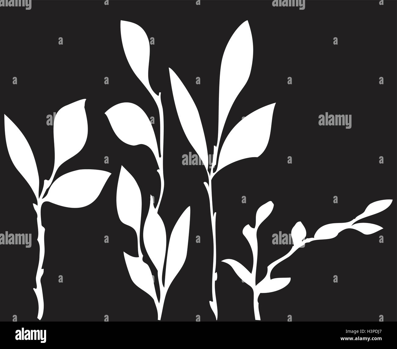 Vector abstract white pattern of leaves of black background Stock ...
