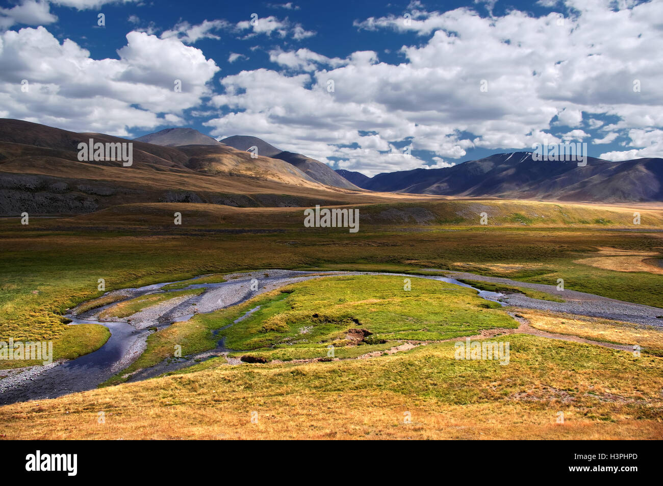 Valley of the mountain river among meadows with dry yellow grass on the highland steppe near Mongolia Plateau Ukok Altai Russia Stock Photo