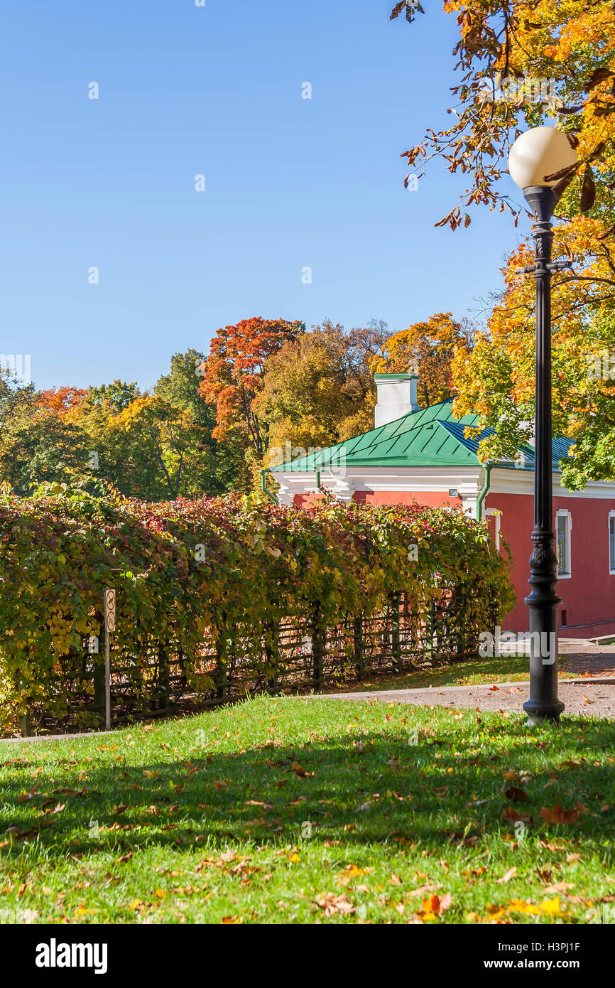 Autumn In The City Park Stock Photo - Alamy