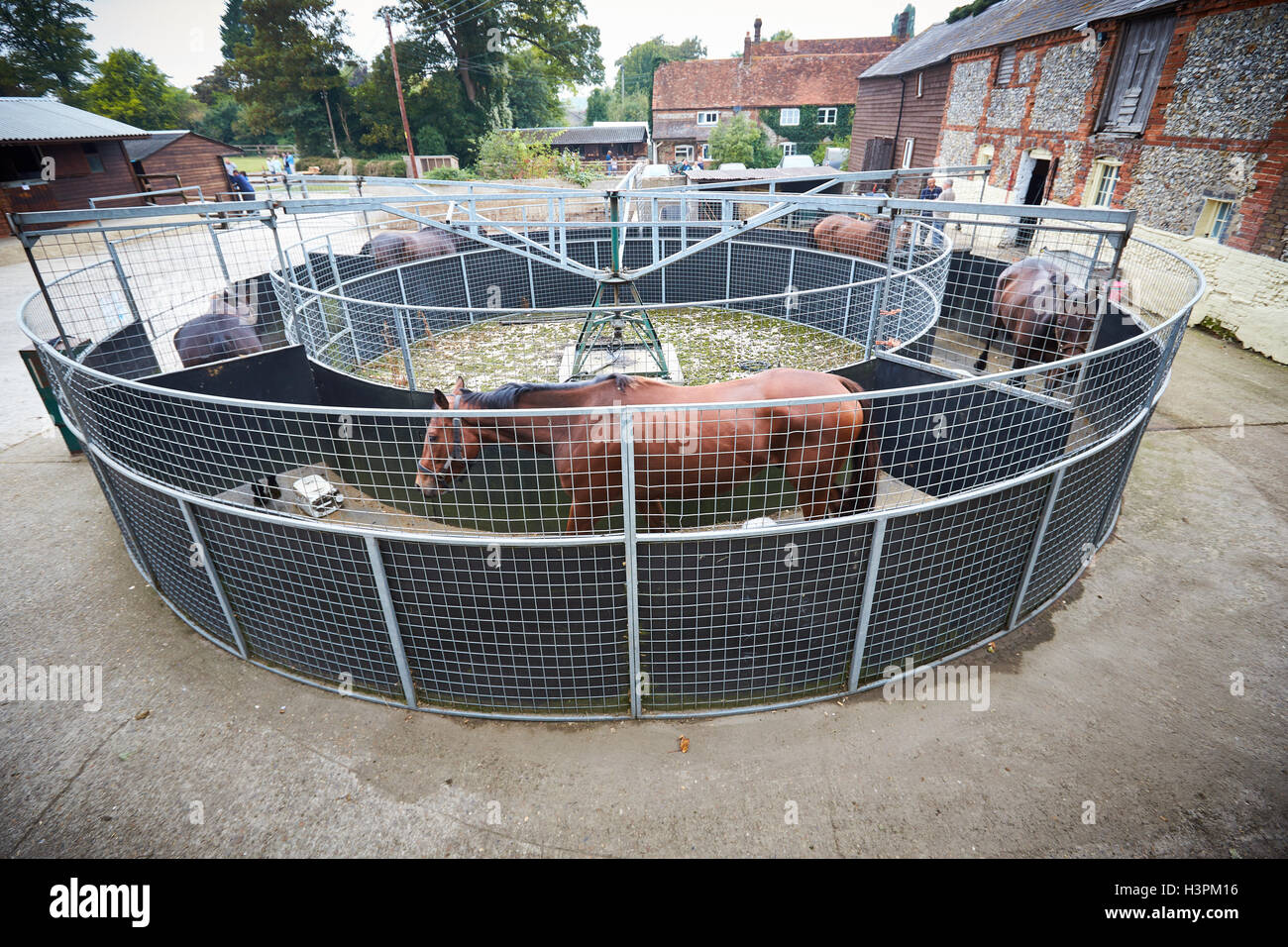 Horse walker hires stock photography and images Alamy