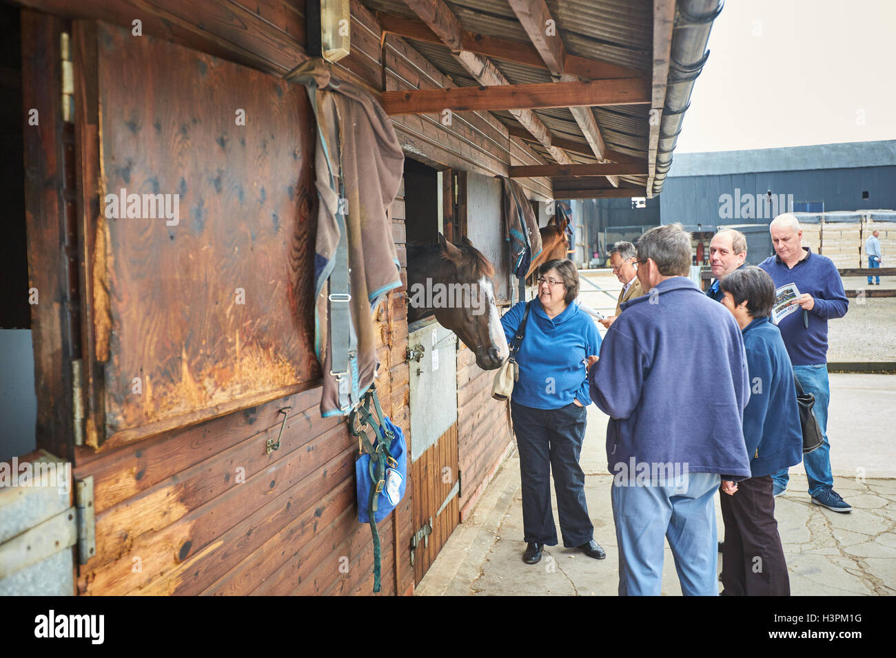 Open day at the Lawney Hill Racing yard in Aston Rowant, Oxfordshire Stock Photo