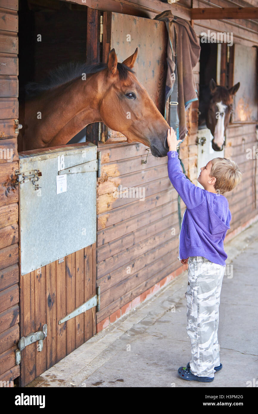 Open day at the Lawney Hill Racing yard in Aston Rowant, Oxfordshire Stock Photo