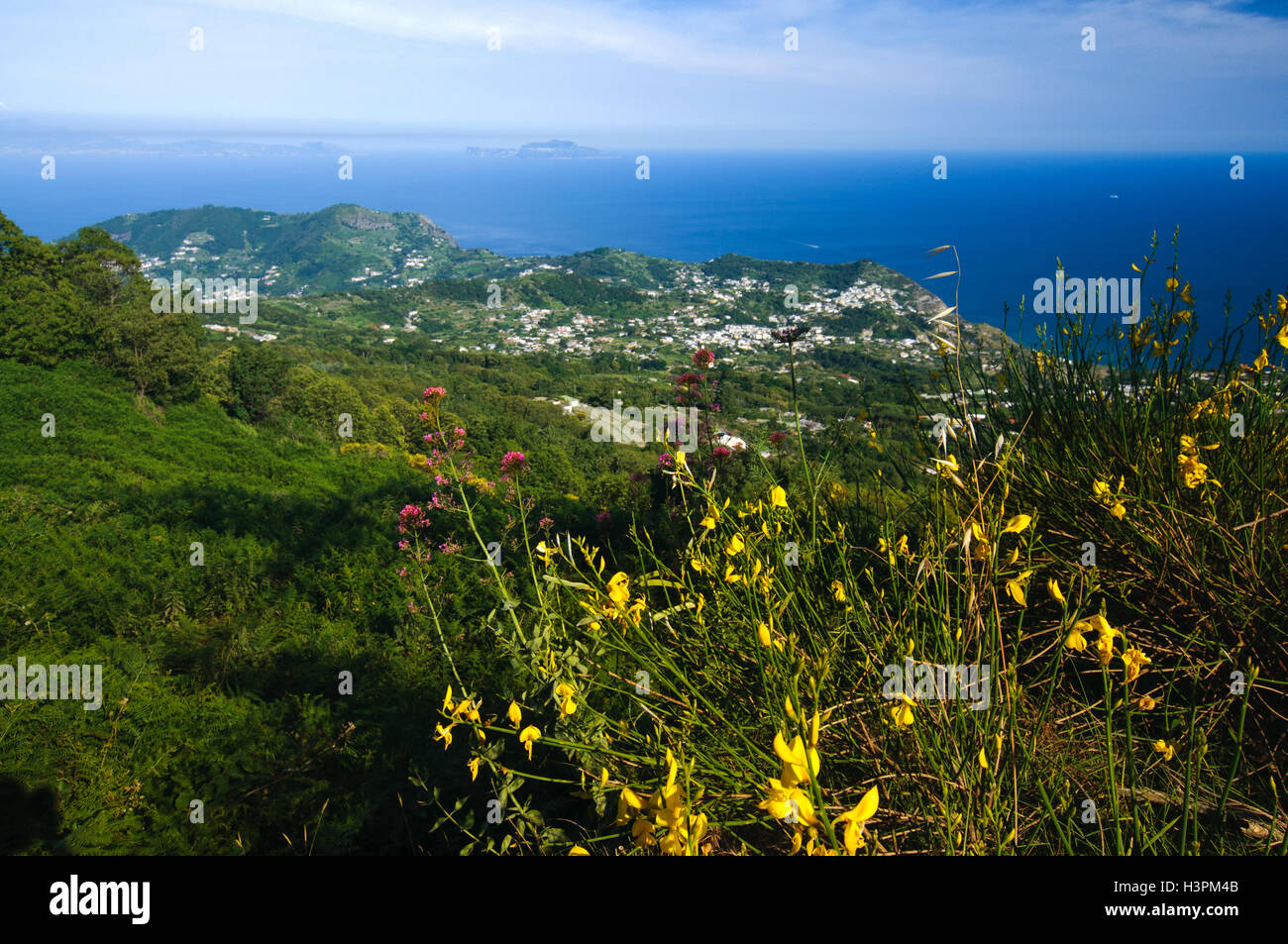 Aerial view from Mount Epomeo, Ischia Island, Italy Stock Photo