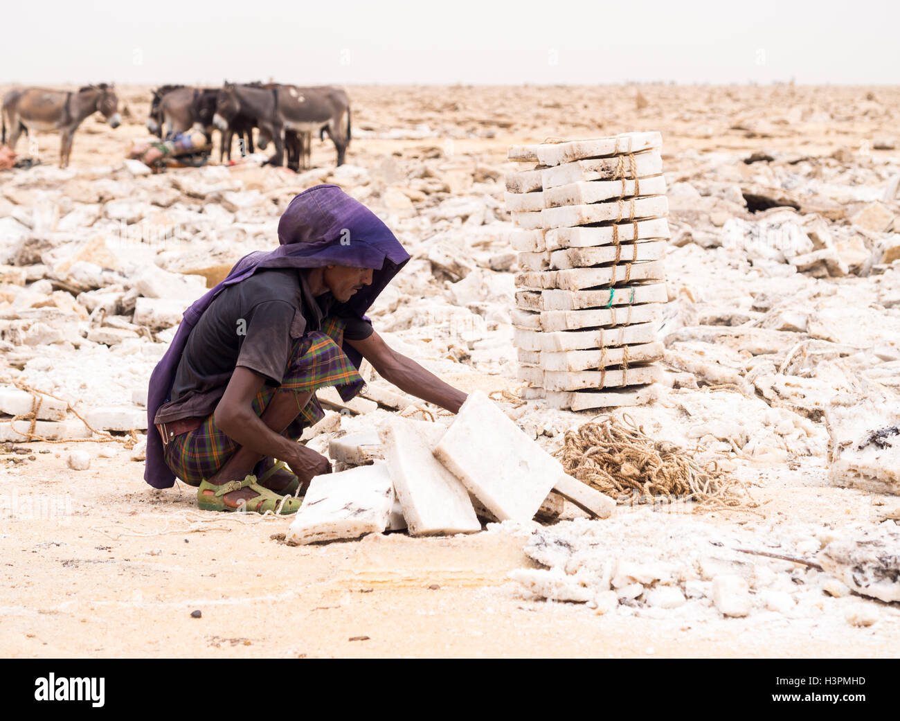 Afar man mining salt from salt flats in Afar region, Danakil Depression, Ethiopia. Stock Photo