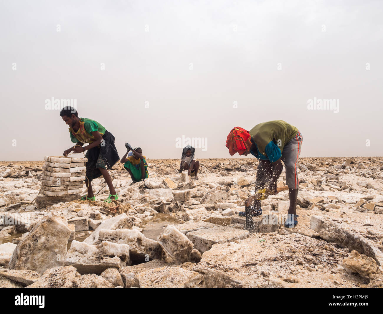 Afar men mining salt from salt flats in Afar region, Danakil Depression, Ethiopia. Stock Photo