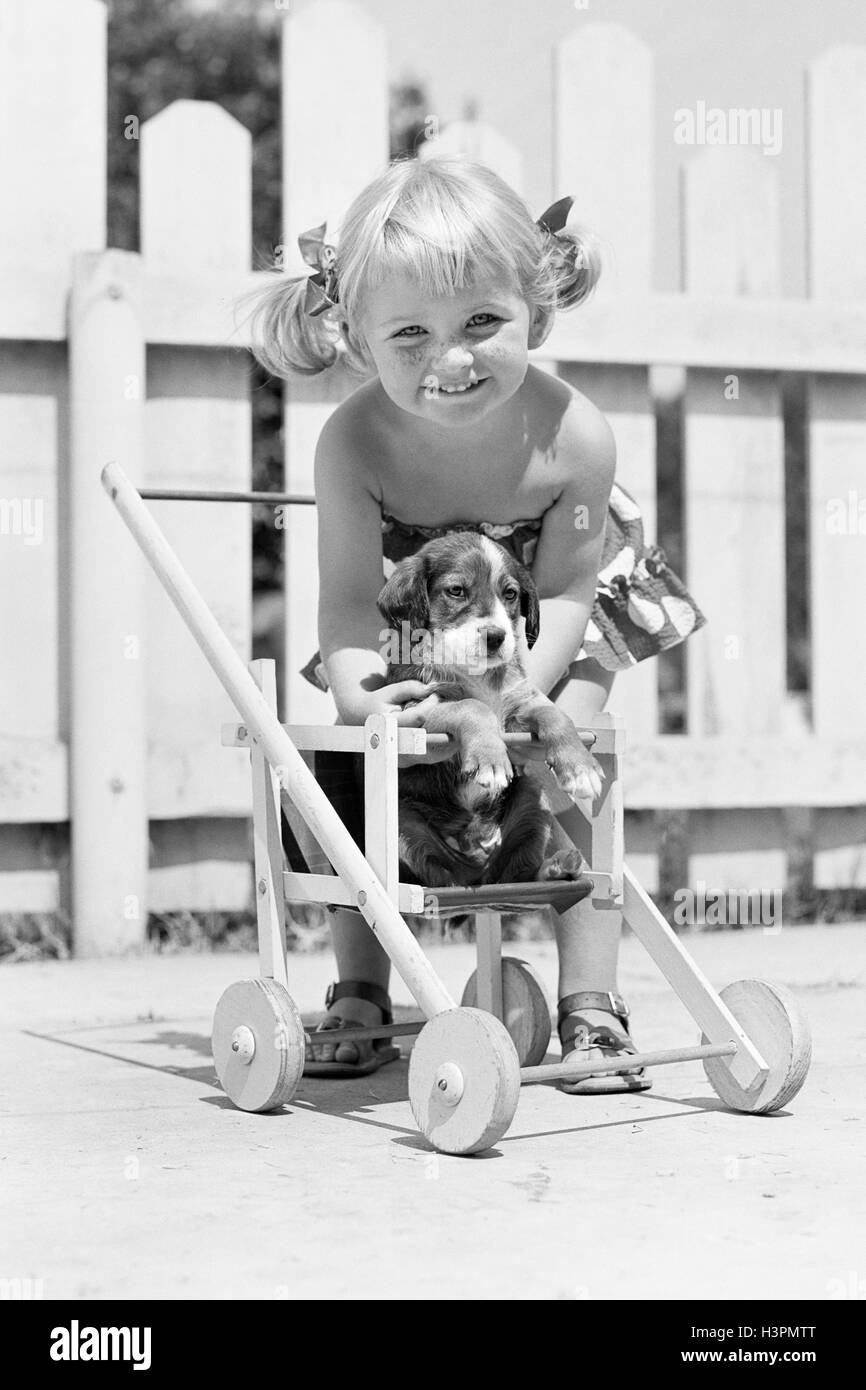 1950s SMILING GIRL WITH BLONDE PIGTAILS LOOKING AT CAMERA PUTTING SPRINGER SPANIEL DOG PUPPY INTO DOLL BABY CARRIAGE Stock Photo