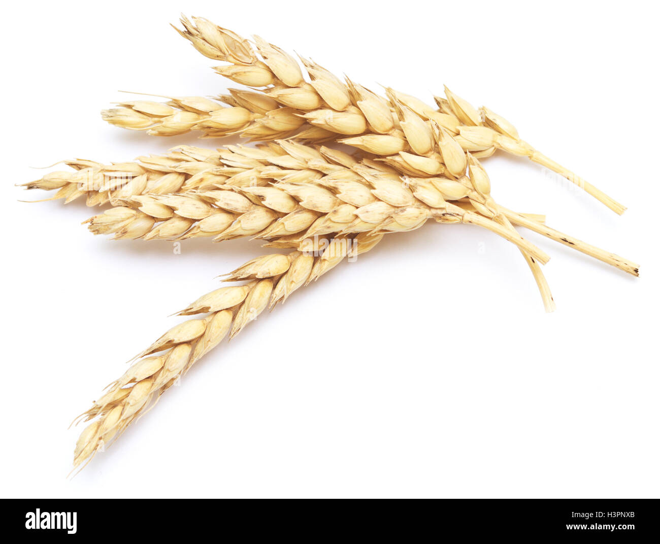 wheat isolated on white background Stock Photo