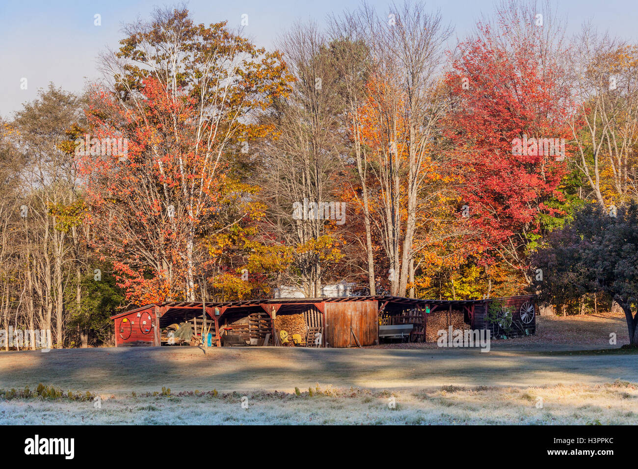 Scenic landscape of a barn filled with farm items and winter heating firewood, colorful Fall foliage and frost on the ground in Stock Photo