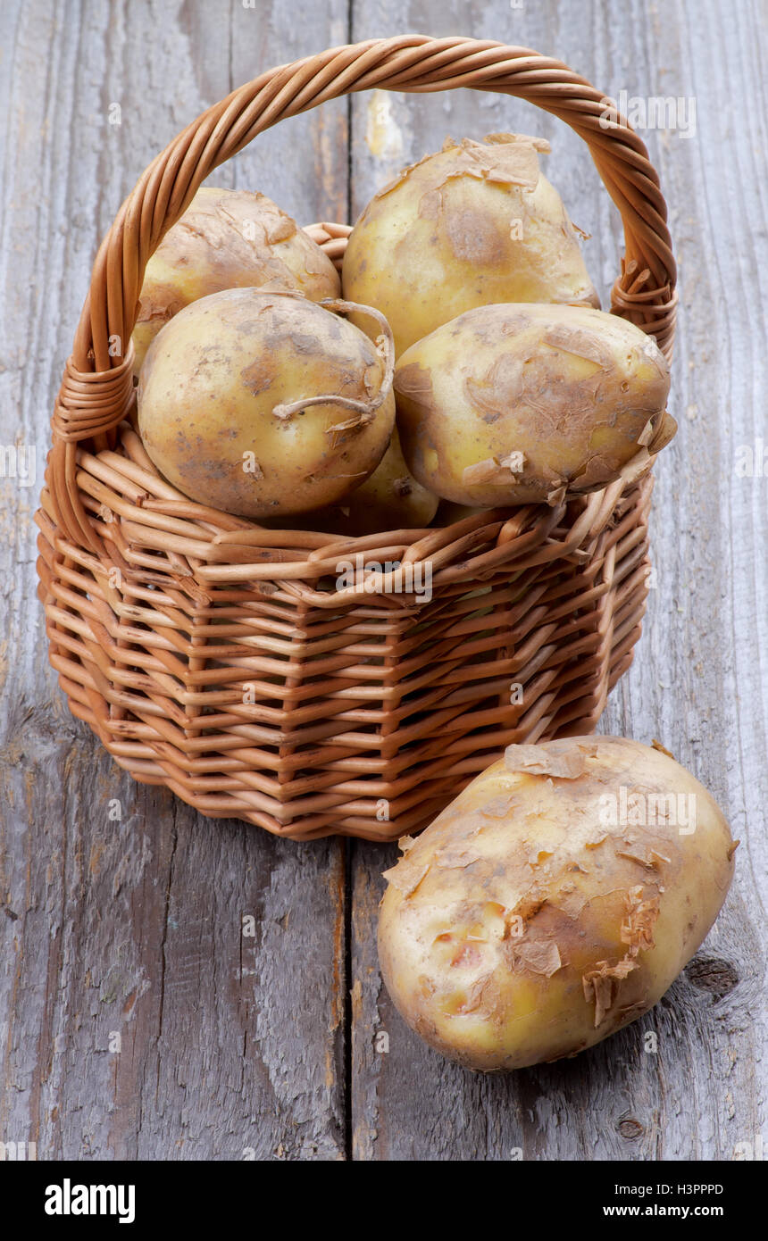 New Harvest Potato Stock Photo