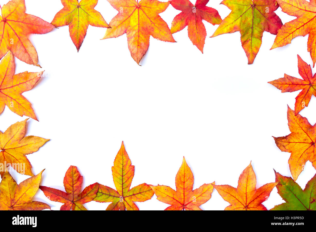 Colorful autumn leaves frame isolated on white background Stock Photo