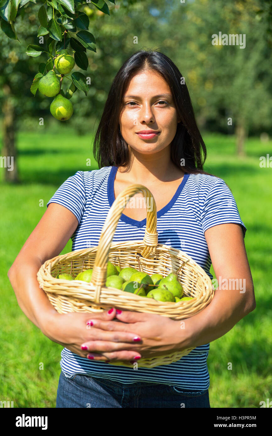European woman holding wicker basket filled with green pears in orchard Stock Photo