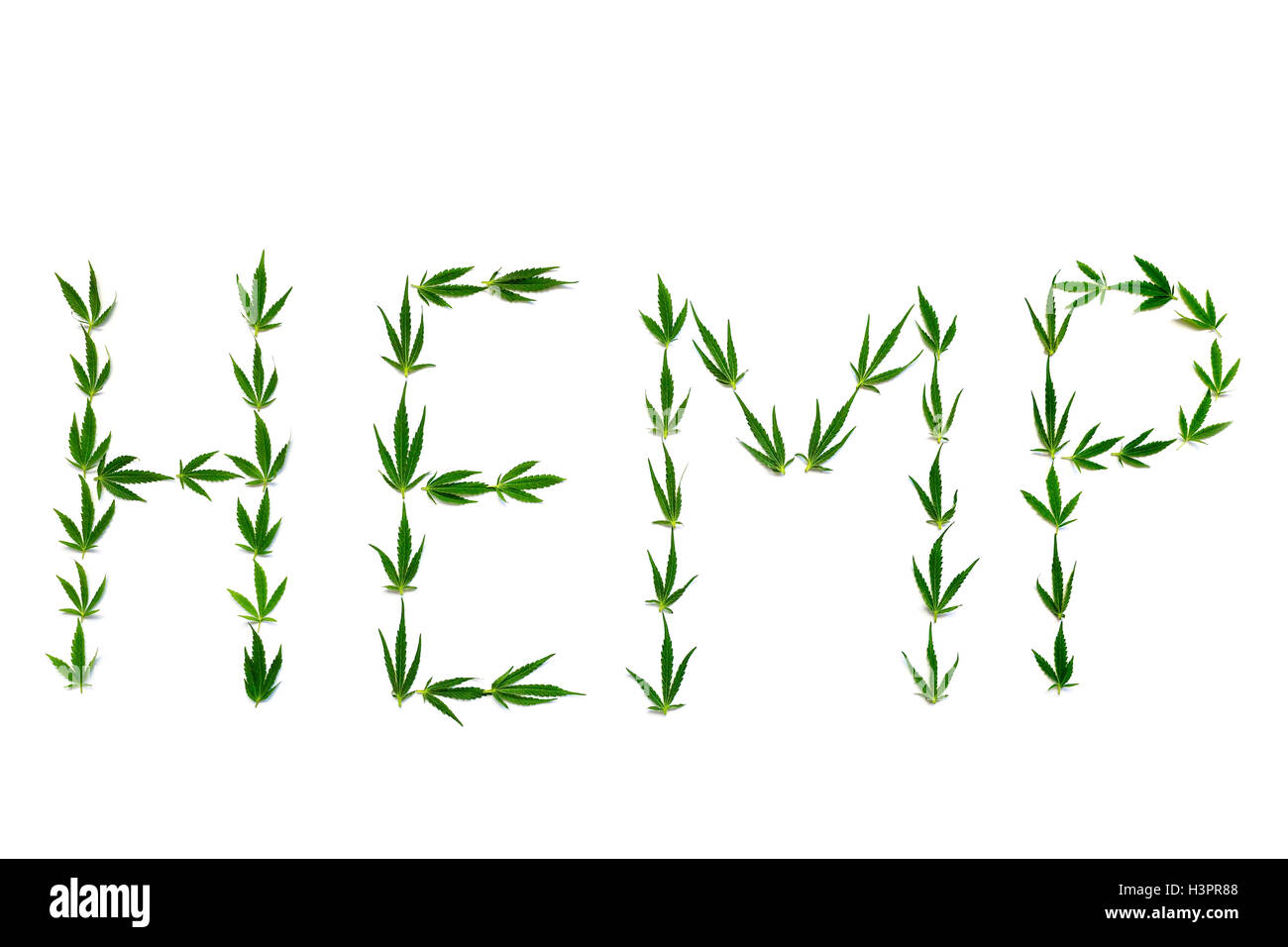 Word HEMP made of green leaves isolated on white background Stock Photo