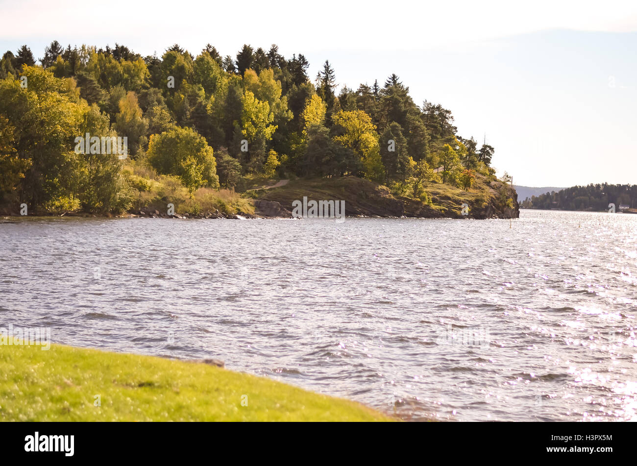 coast of a norwegian fjord in autumn or fall Stock Photo
