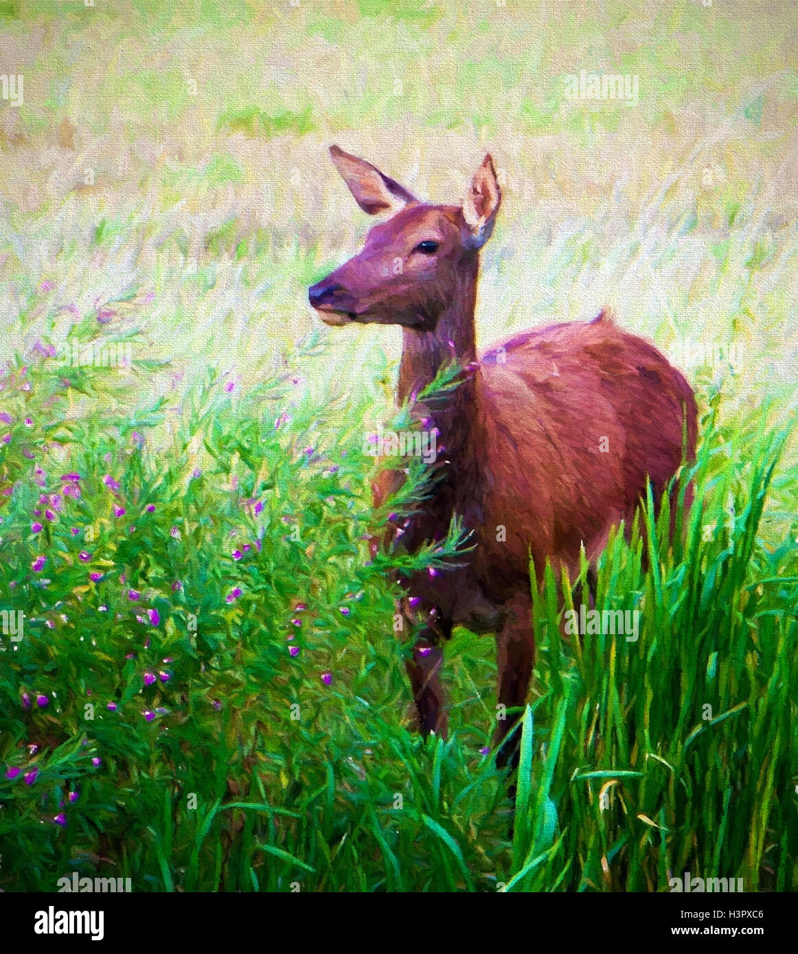 Red deer in countryside standing by reeds and colourful flowers illustration like oil painting Stock Photo