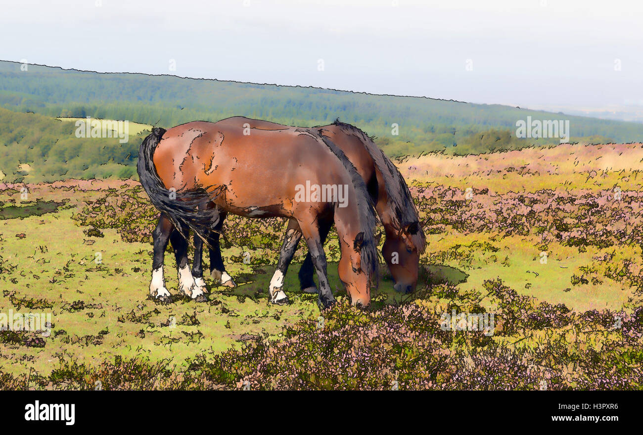 Ponies grazing on Quantock Hills Somerset illustration Stock Photo