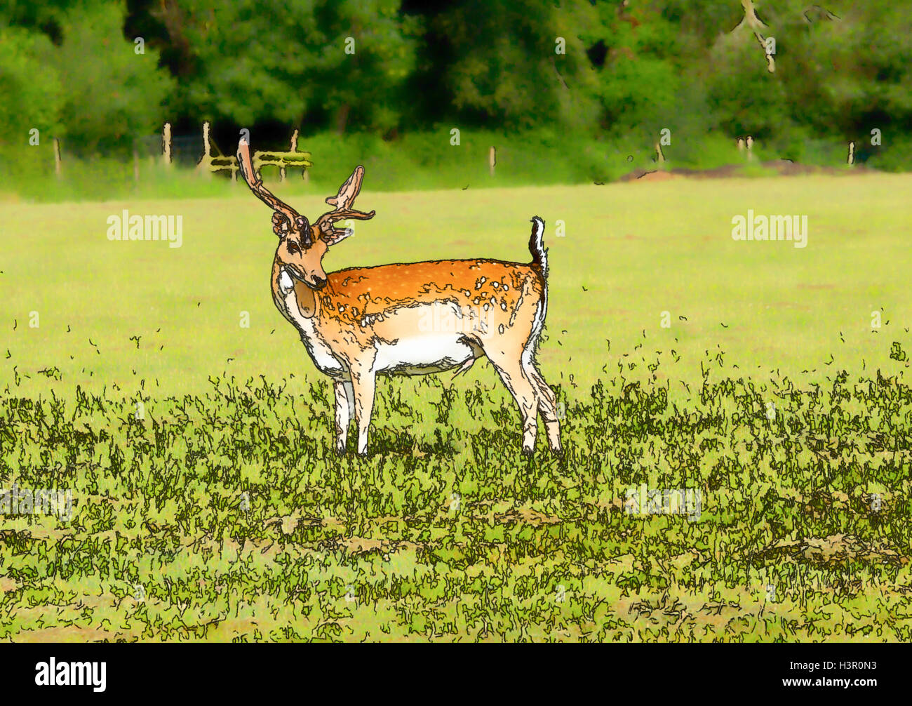 Wild deer New Forest Hampshire England uk English country scene illustration like cartoon effect Stock Photo