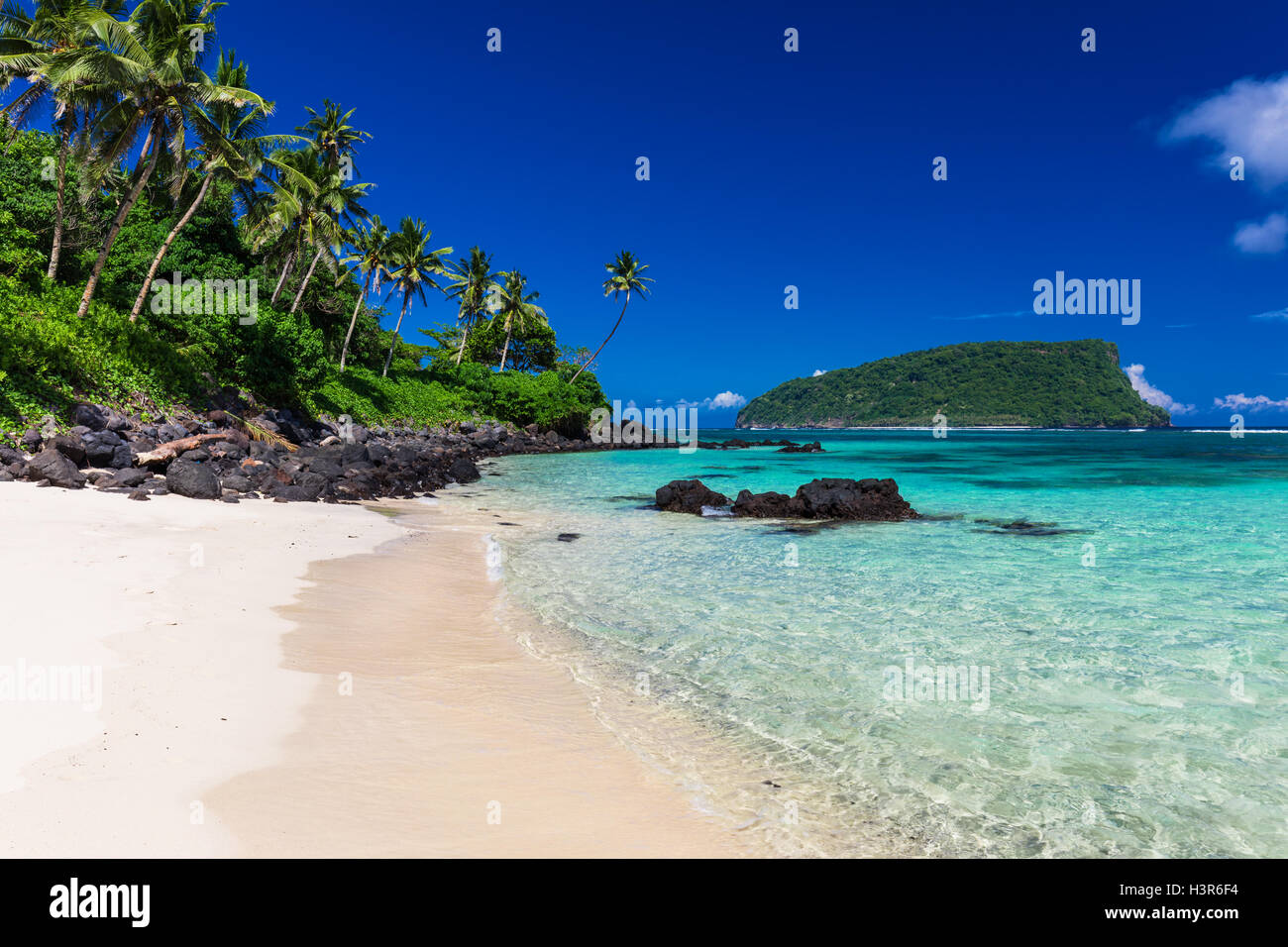 Vibrant tropical Lalomanu beach on Samoa Island with coconut palm trees Stock Photo