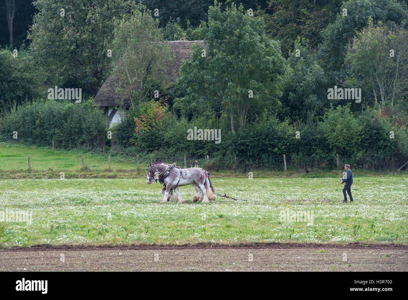 Horse drawn harrow hires stock photography and images Alamy